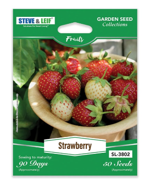 homefix-steve-&-leif-sl-3802-strawberry-seeds