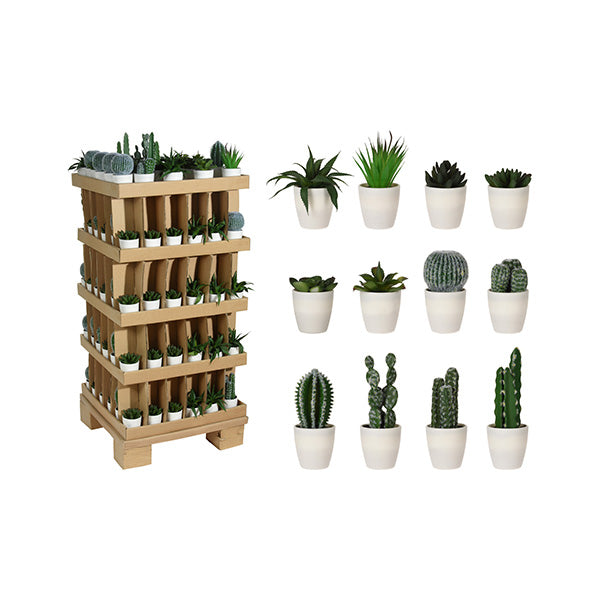 KOOPMAN 317354160 PLANTS IN WHITE POT 12ASS - Home-Fix Cambodia