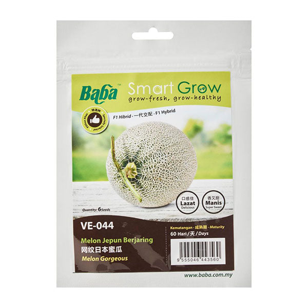 MELON GORGEOUS SEEDS<br>គ្រាប់ពូជត្រសក់ស្រូវ