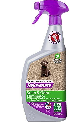 REJUVENATE BIO-ENZYMATIC CARPET & UPHOLSTERY SPOT & STAIN REMOVER, 32OZ - Home-Fix Cambodia